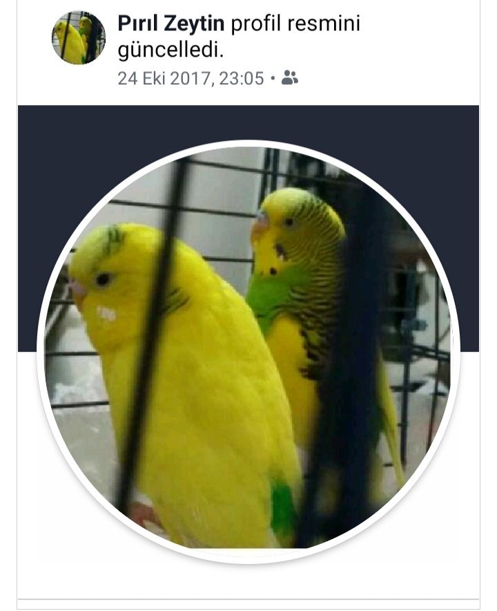 Nurgül Harmancı (@nurgulharmanci) on Twitter photo 