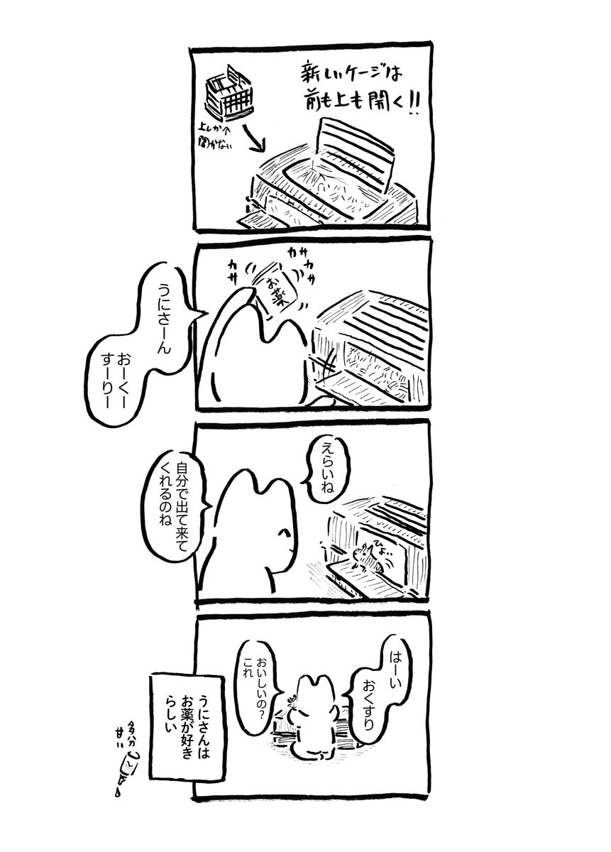 うにさんと私47　　#うにさんと私　#創作漫画　#エッセイ漫画 