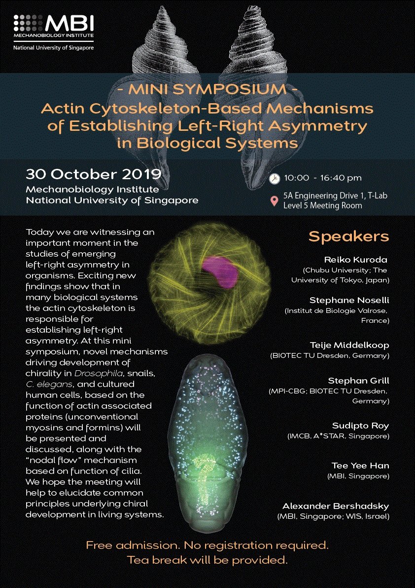 MBIsg's tweet photo. Join us for a mini symposium on actin-based mechanisms of chirality establishment in biological system, being organized by @MBIsg this coming Wednesday (30th October)!

A line up of interesting talks to look forward to!

https://t.co/yYc2dcJ3Kl https://t.co/g9H1FkM1tL