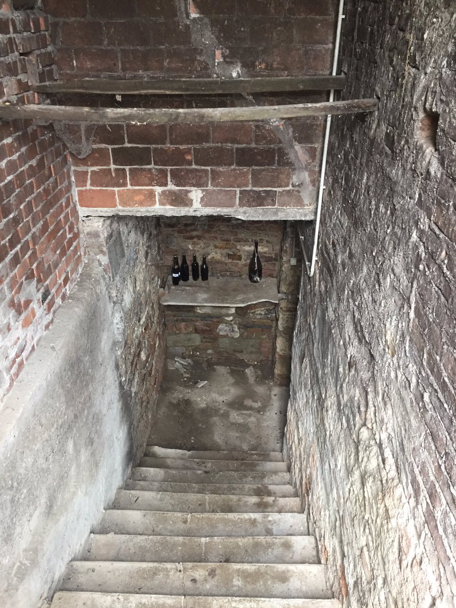 BaloccoDani's tweet photo. Abbiamo cominciato a dare una ripulita alla vecchia cantina ed abbiamo trovato qualche bottiglia prodotta dal precedente contadino, una Barbera del 2000, un Grignolino del 2014 #oldcellar #bes #agricolabes #bereesognare #drinkinganddreaming #monferrato #inconversionebio #fivi https://t.co/yTG7SLu5uW