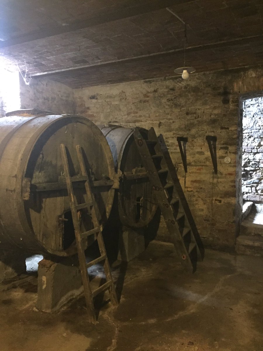 BaloccoDani's tweet photo. Abbiamo cominciato a dare una ripulita alla vecchia cantina ed abbiamo trovato qualche bottiglia prodotta dal precedente contadino, una Barbera del 2000, un Grignolino del 2014 #oldcellar #bes #agricolabes #bereesognare #drinkinganddreaming #monferrato #inconversionebio #fivi https://t.co/yTG7SLu5uW