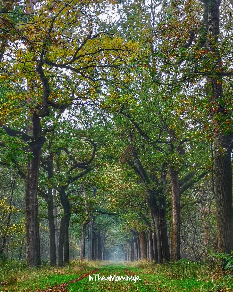 intheamomintsje's tweet photo. #Onderwegindethuiszorg #ruigahuizen #Fryslân https://t.co/uAcn0wWnZh