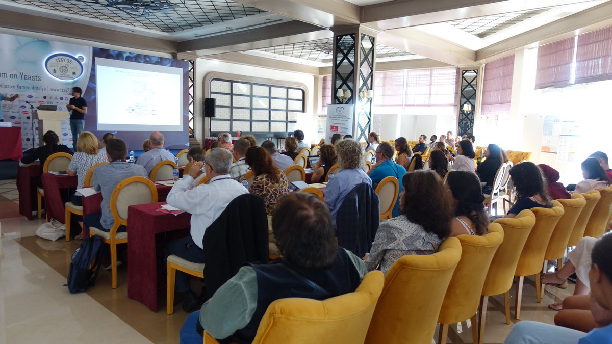 dr_charoen's tweet photo. @ISSY2019 Last day of the wonderful symposium has started. #ISSY35 #Antalya https://t.co/2lxMpLZw2u