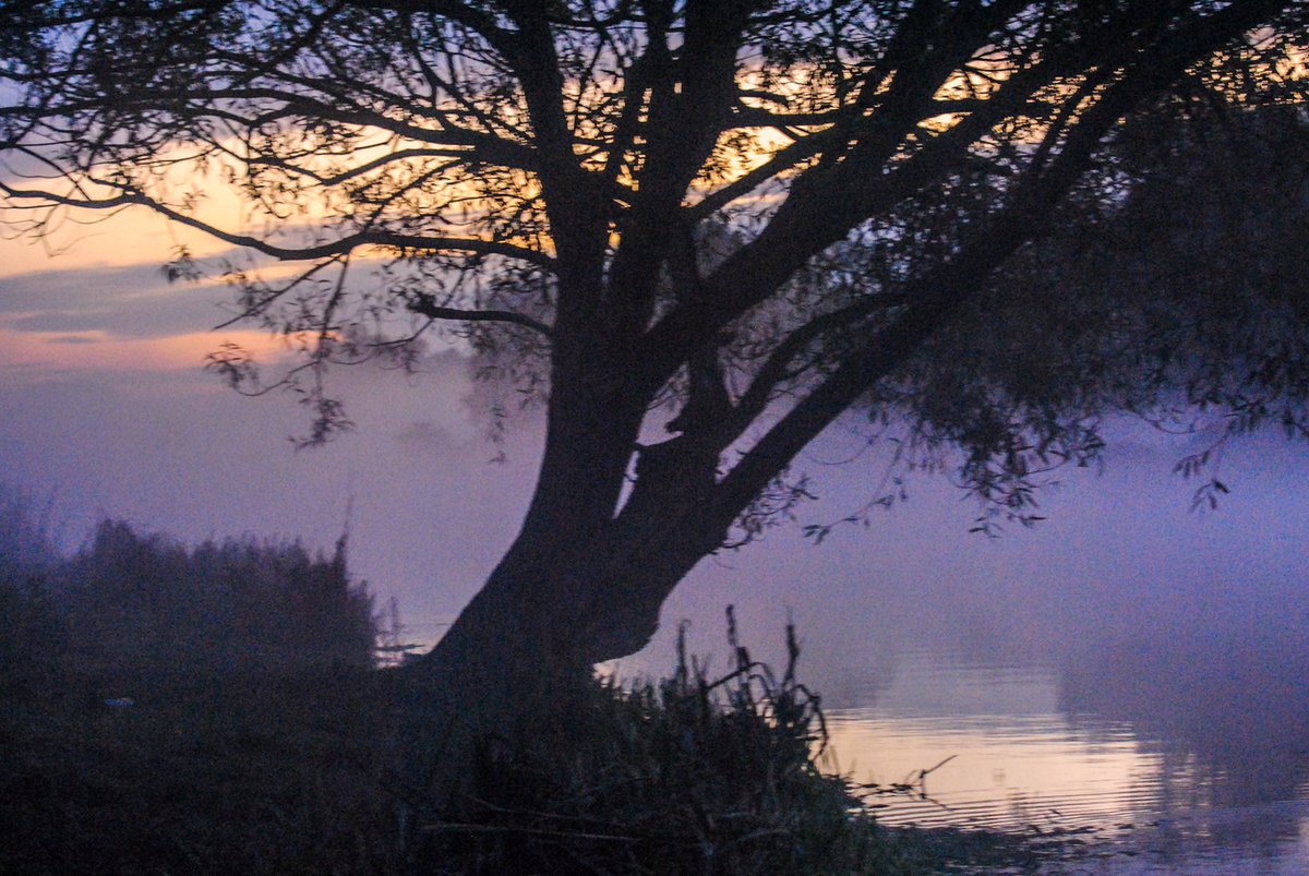 ”Today I choose calm over chaos, serenity over stress, peace over perfection, grace over grit, faith over fear.
-Mary Davis” Wishing Everyone a joyful Thursday 🤗 
Photos: Ely riverside yesterday morning. #Elyriverside #quotes #sunrise #misty #swan #nature #mywalk #UNDay2019