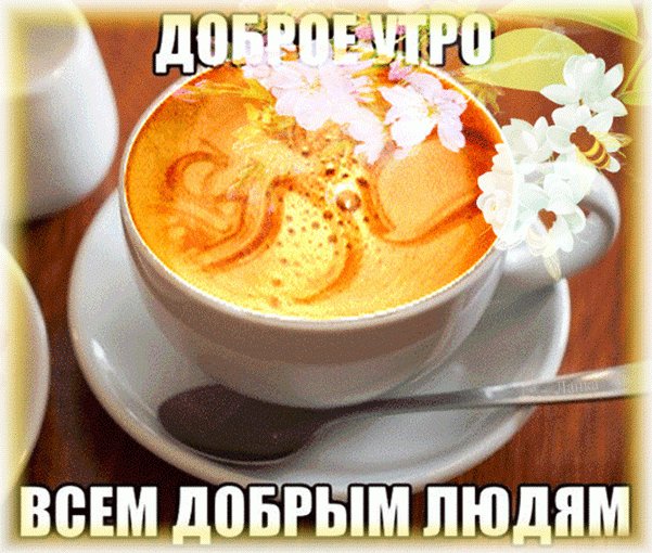liudmila tweet media