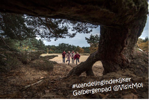 VisitMol's tweet photo. #wandelingindekijker #galbergenpad
Je verwacht het niet echt, maar in het Centrum verstopt zich een groene long die het bekijken en bewandelen meer dan waard is.
Ook kinderen kunnen zich volop uitleven met de StoerToer aan het Galbergenpad!
https://t.co/4Lqa9h0Hpu https://t.co/0zVgCXPNX8