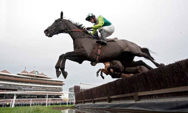 🏇Thursday's Going Report🏇

#Carlisle - Good to Soft (Good in places Chase course)

#Chelmsford (AW) - Standard

#Ludlow - Good (Good to Soft in places)

#Southwell - Good to Soft (Good in places)

#Wolverhampton (AW) - Standard

#Thurles - Yielding (Good to Yielding in places)