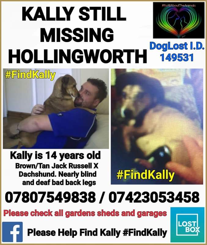 hoy_angiehoy's tweet photo. Please #FindKally #StillMissing #Hollingworth #SK13 no sightings no calls elderly owner devastated πX @TracySm72210531 @IAATA2016 @sammeegiles @samyarwood89 @Dr_Dan_1 @SAMPAuk_ @MissingPetForum @MissingPetsGB @rosiedoc666 @MissGAtkinson @rickygervais @AngelaMortimer2 @DoglostUK https://t.co/Fa6q4eKJuP