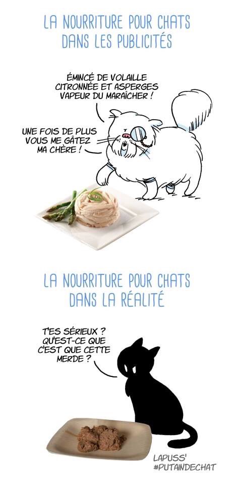 La nourriture pour chat PUB 📺 vs RÉALITÉ 🤦🏻‍♂️! 

🐈 Albums dispo partout ➡️ linktr.ee/putaindechat

#PutainDeChat #chatnoir #chat
#aveclestream #sanslestream #pubvsrealité #masterchef