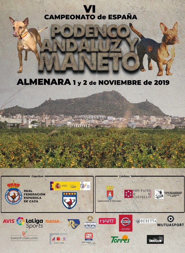 RFECampeonatos's tweet photo. 🏆🐕Conoce todos los pormenores del VI Campeonato de España de Trabajo para Podenco Andaluz y Maneto en el programa oficial de la prueba‼️
📅1 y 2 noviembre
🏞️Almenara (Castellón)
Más info: https://t.co/aiadAdpvaU
#caza #podencoandaluz #maneto #Almenara #FederaciónMadrileñadeCaza https://t.co/zskMs5oiNC