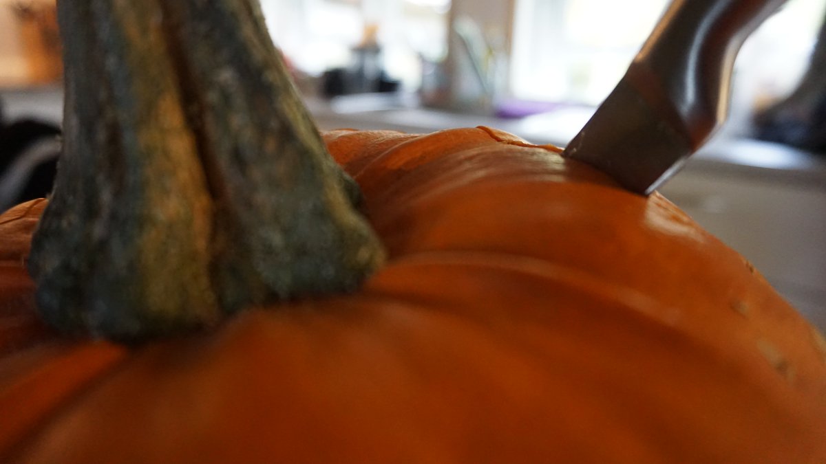 Sarah_Vanth's tweet photo. #halloween2019 #Halloween #Pumpkins #pumpkincarving #pumpkinseeds https://t.co/44suFdjcMy https://t.co/bdY7UJ4EI2