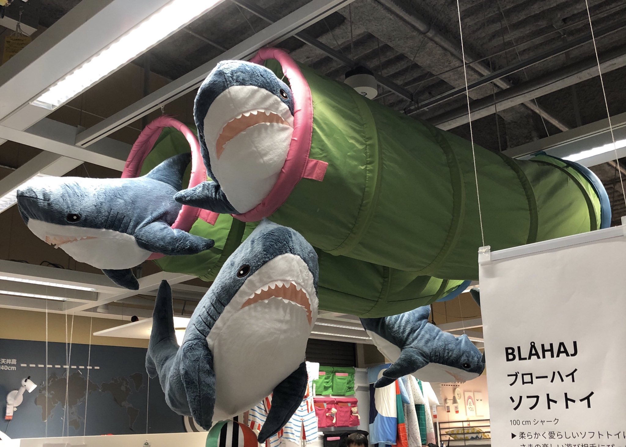 井口エリ ちぷたそ No Twitter 増やさないと決めていたのに Ikea行ったらサメが大々的に展開されていて小さいサイズのサメもいたから一匹 Ikeaの海から捕獲して帰ってきてしまった 三枚目はクッションでまったりしてるサメ Ikeaのサメかわいいよサメ 井口エリ ちぷたそ No Twitter 増やさないと決めていたのに Ikea行ったらサメが大々的に展開されていて小さいサイズのサメもいたから一匹 Ikeaの海から捕獲して帰ってきてしまった 三枚目はクッションでまったりしてるサメ Ikeaのサメかわいいよサメ