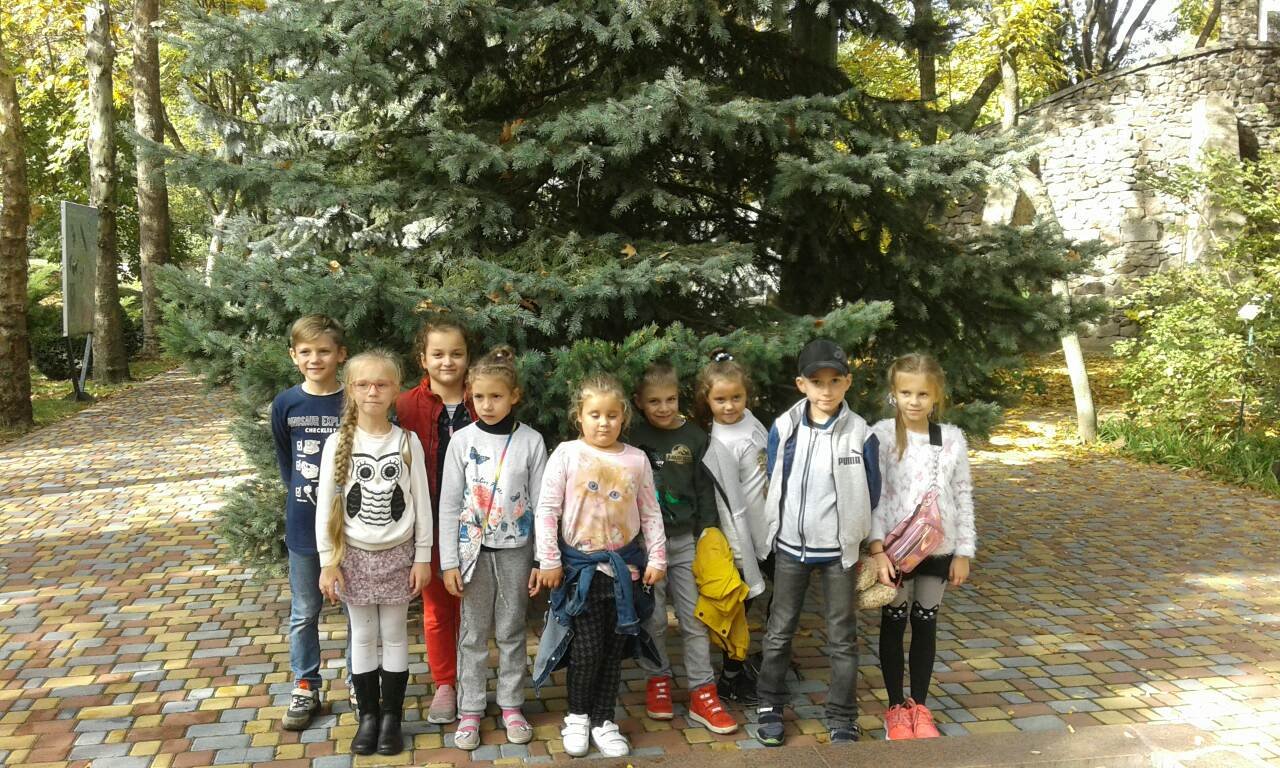 Зображення