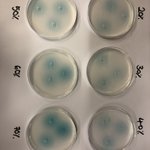 Photo by MFGScience (@MFGScience)