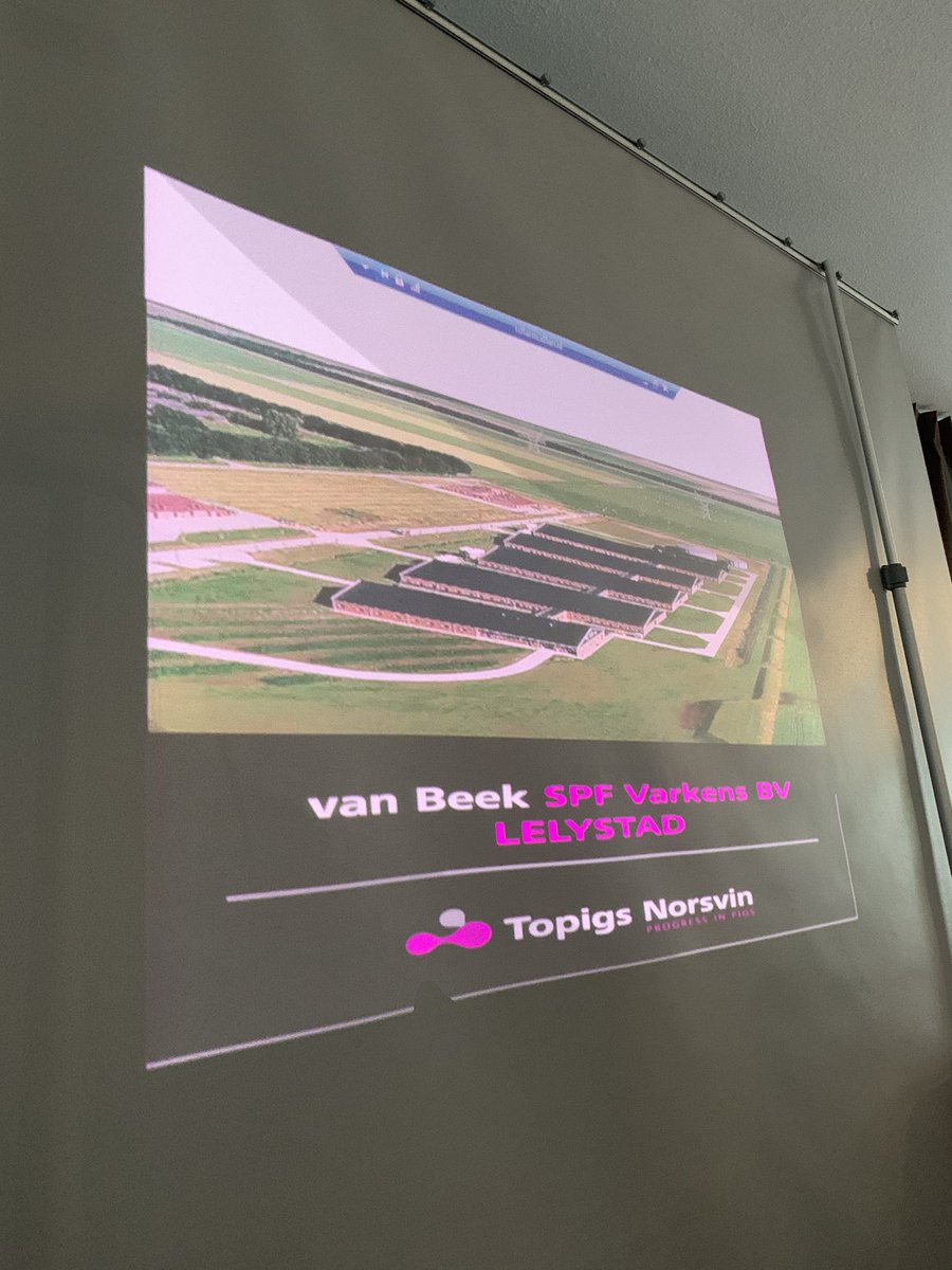 Great pic of <a href="/BeekGert/">Gert van Beek</a>’s SPF <a href="/TopigsNorsvin/">Topigs Norsvin</a> <a href="/TOPIGS/">Topigs Norsvin</a> farm here in Lelystad!