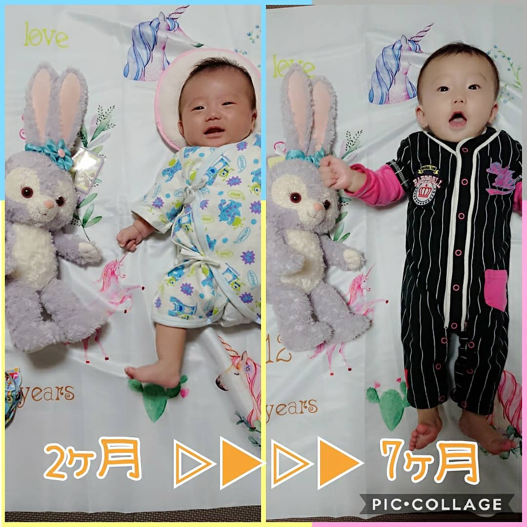ずりばい ずりばい