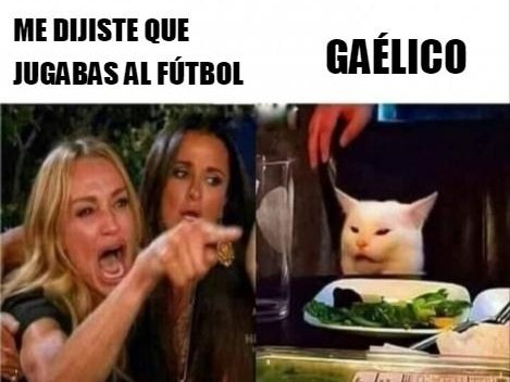 😂😂😂😂