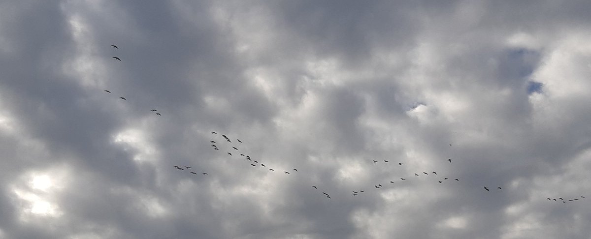 Wolken mét vogels @weermanreinier