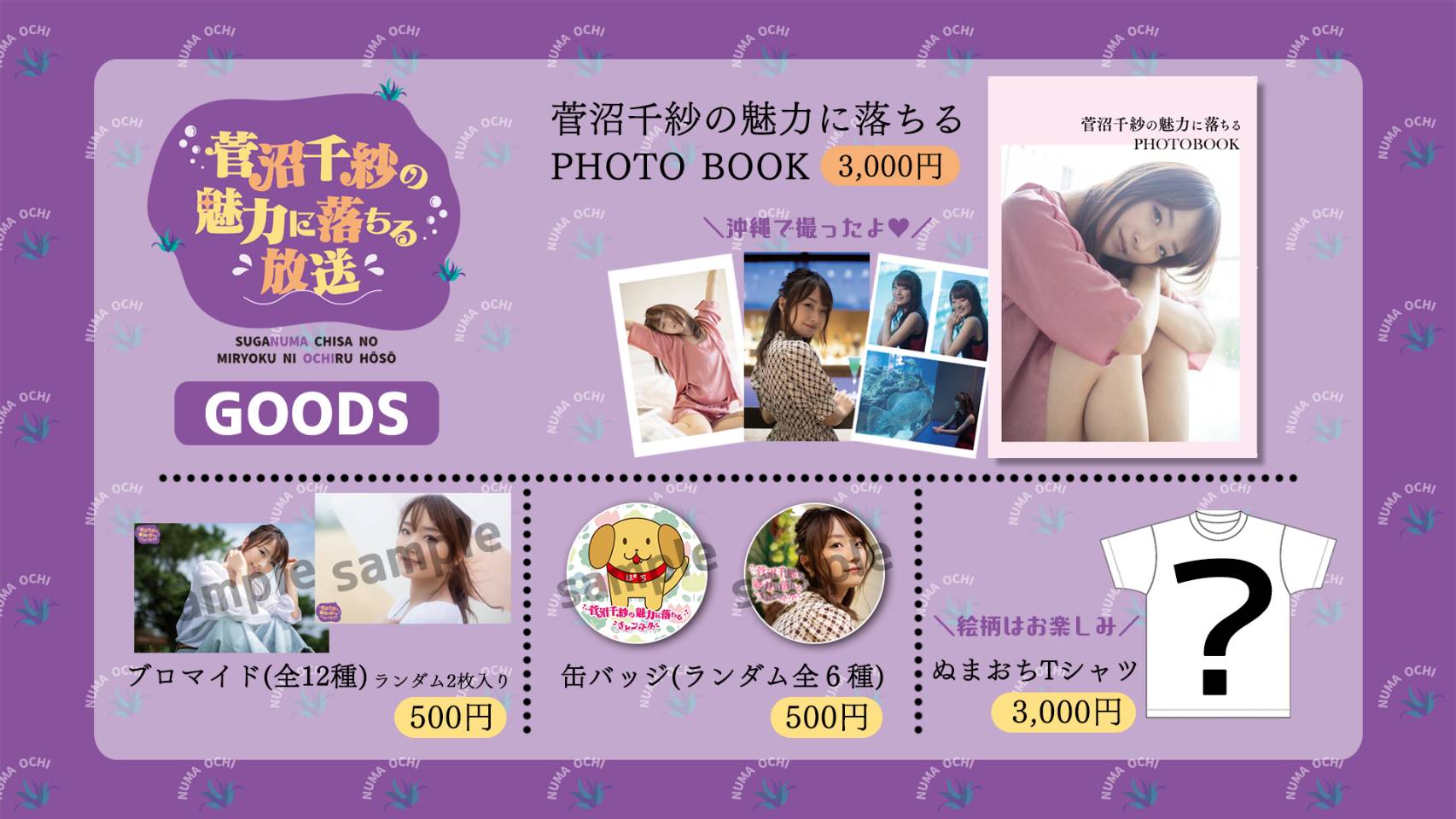 菅沼千紗 サイン 入り ブロマイド 抽選 ぬまおち 壱ノ沼リベンジ 菅沼千紗の魅力に落ちるツイッターアカウント on X