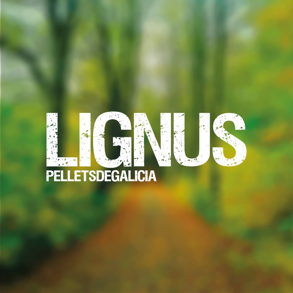 LignusPellets's tweet photo. Desde #Lignus Pellets seguimos trabajando para un mundo más #sostenible, súmate al cambio y disfruta de calor 100% #renovable 🌱💙♻
#diacontraelcambioclimatico #pellets #energiasrenovables #DiaMundialDelCambioClimatico #biomasa #pelletsdegalicia https://t.co/kZmolPbW4G