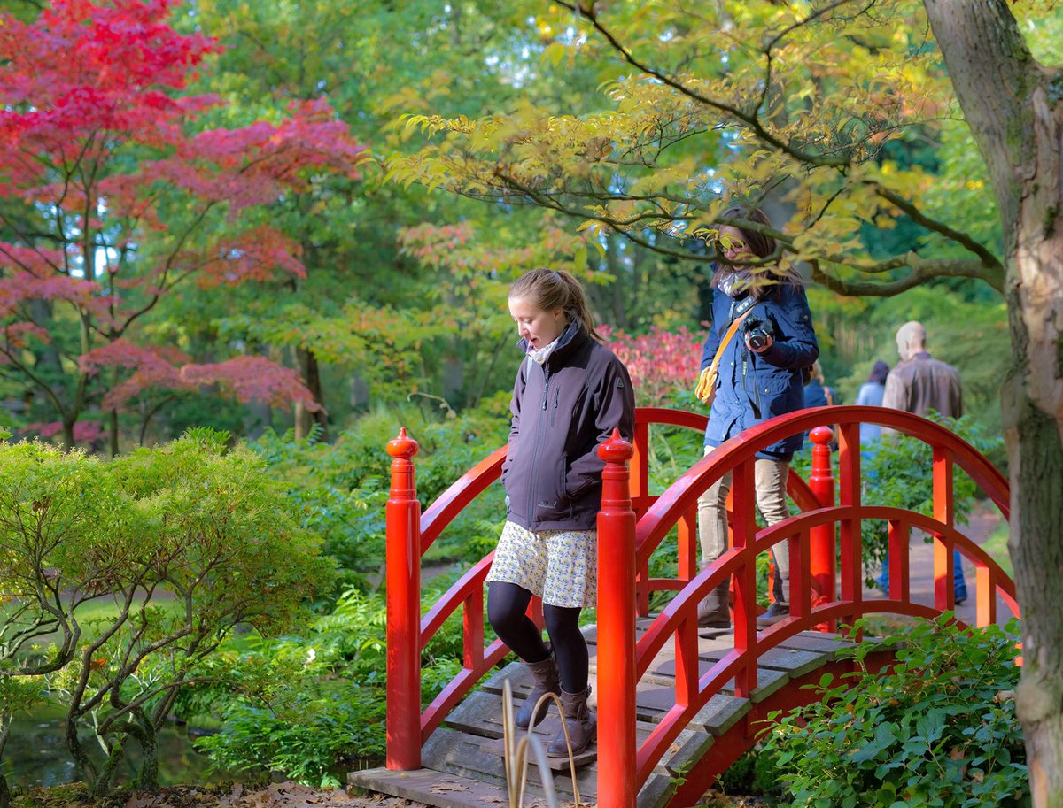 Nog tm zondag kan je de Japanse Tuin bewonderen in Landgoed Clingendael >> denhaag.com/nl/event/1227/…