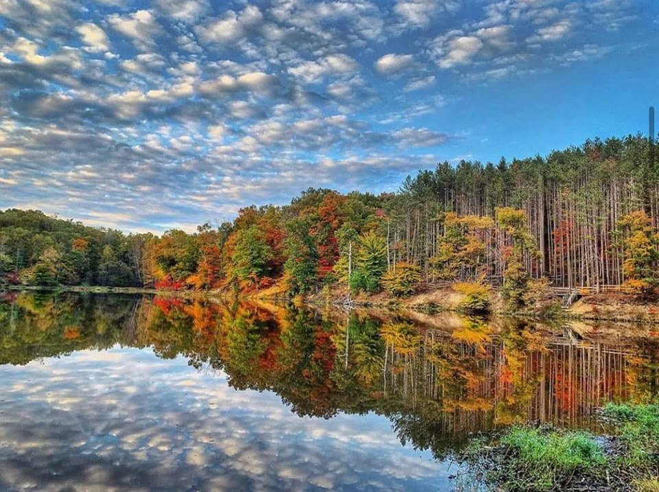 KetchmarkWCPO's tweet image. This photo is perfection times 2. Look at the reflection of the fall colors and the sky in the water. Love it! Thank you Pam Searcy for the picture in Brown County, IN. @wcpo #cincywx