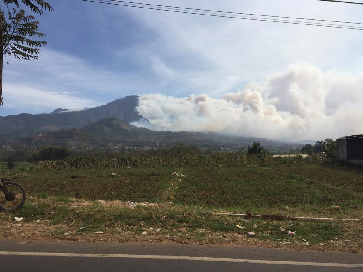 PAMOR FPOK UPI tweet media