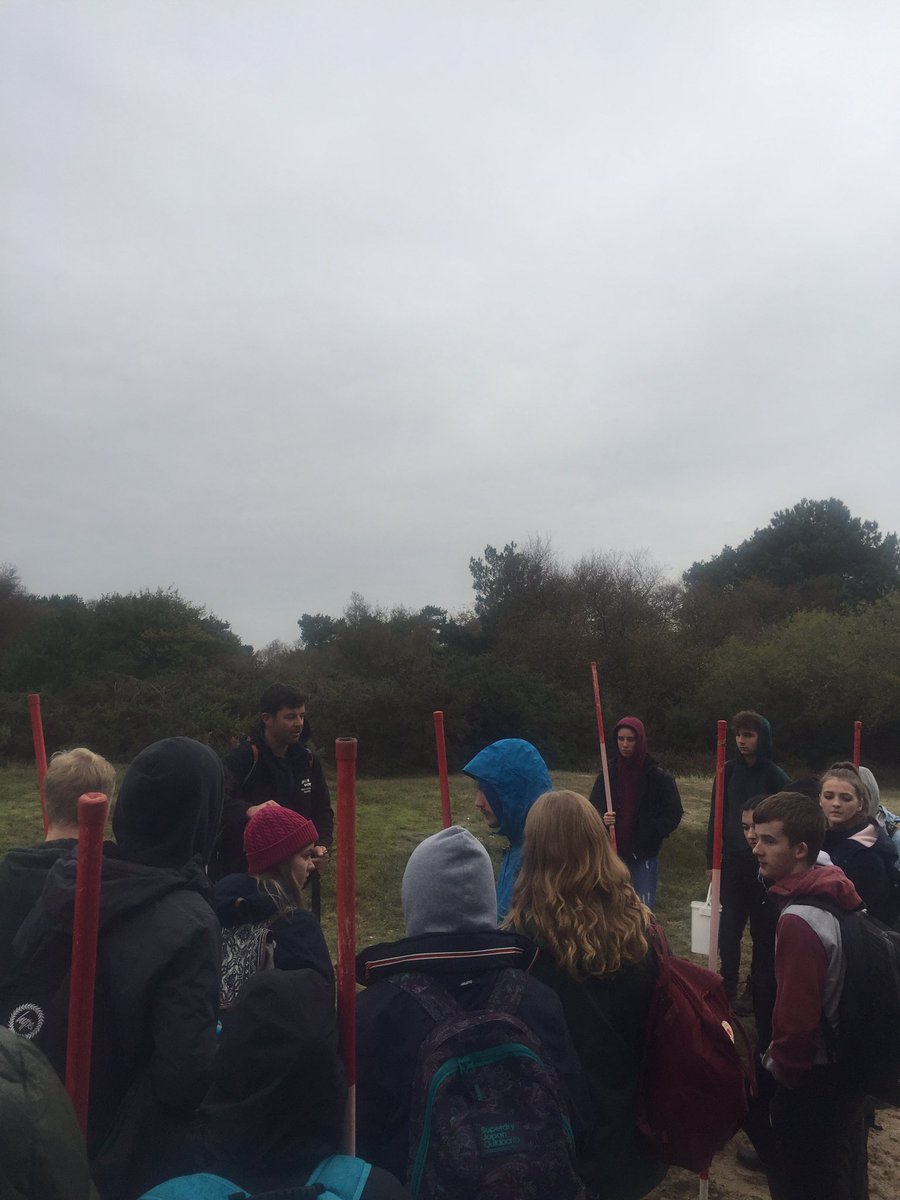 HSScienceDept's tweet photo. Succession in Studland. Year 13 Highcliffe bioteam prepare for interrupted belt transect. https://t.co/pzDSMfC4hB