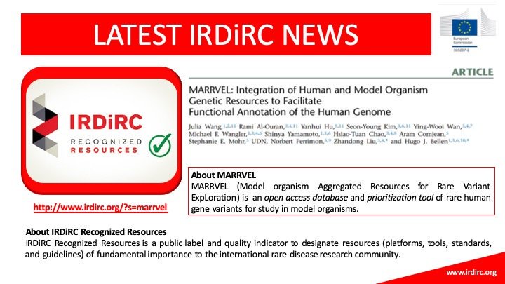 irdirc's tweet photo. #IrdircNews: #IrdircRecognizedResource 4 #research in #RareDisease➡️ #Marvvel 👏 an #OpenAccess #database n #prioritization #tool of #rare #human #gene variants 4 #study #ModelOrganism  https://t.co/MyiHHmcs8A #search #engine #genetic #resources @marywangCM @Chris_Evelo @Baylor https://t.co/6SLKnjnCuc