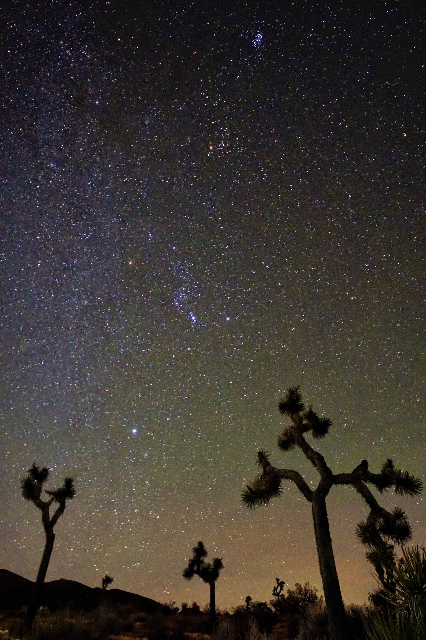 岩松 修 Osamu Iwamatsu Last Night S Starry Sky And Joshua Tree California 昨晩の星空とジョシュアツリー カリフォルニア 左側は天の川の一部かな 星 Star アメリカ Usa Sky 空 砂漠 ジョシュアツリー カリフォルニア Desert