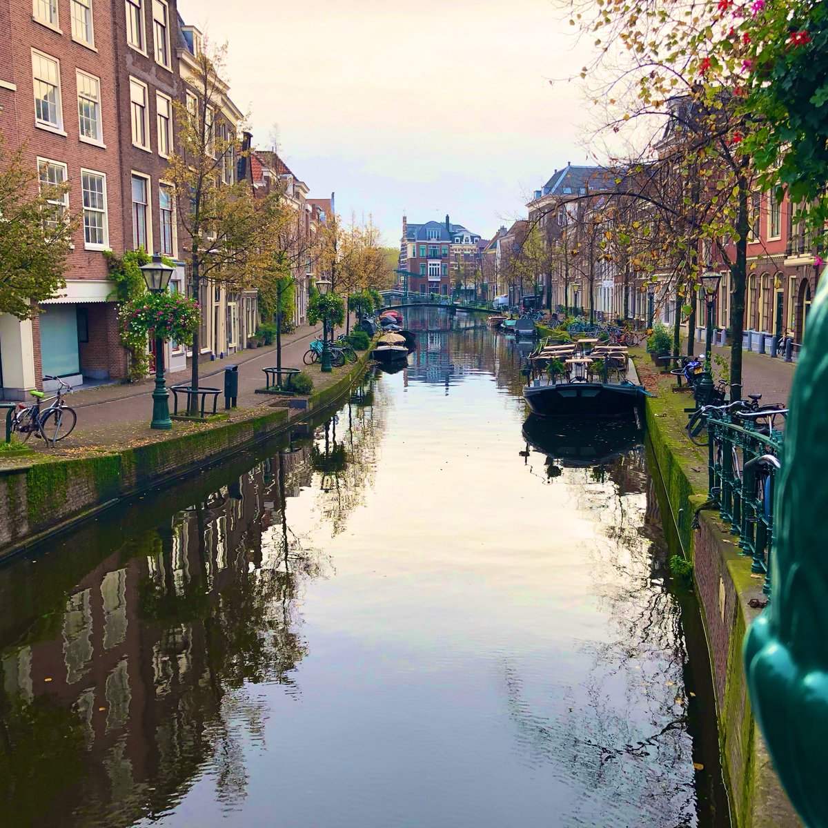 DIRECT project tweet media