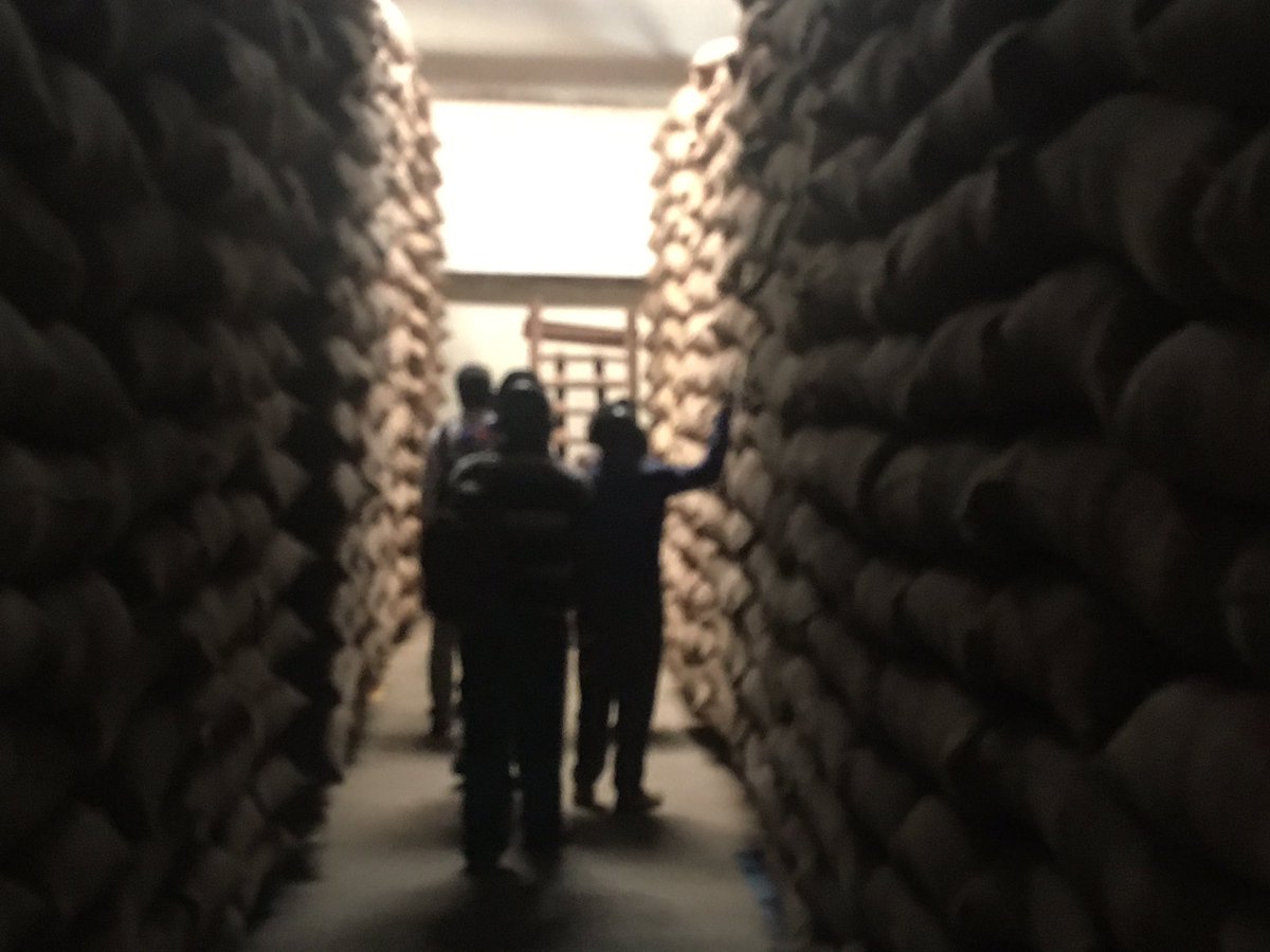 KYECU Ltd warehouse and Ipinada AMCO: well organized well paid cacao #Agriterra <a href="/ibrahimu_harry/">Ibrahimu Harry</a>  Friso Koopmans and Donatus Mwenda