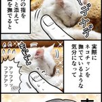 猫動画を見ながら画面触るとナデナデしてる気分になれるとか幸せすぎw