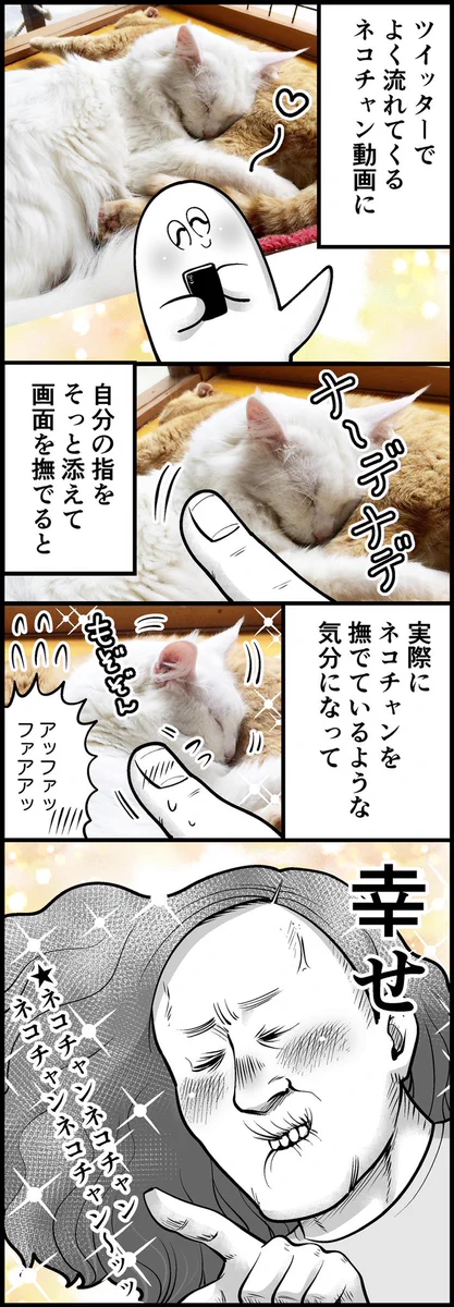猫動画を見ながら画面触るとナデナデしてる気分になれるとか幸せすぎww