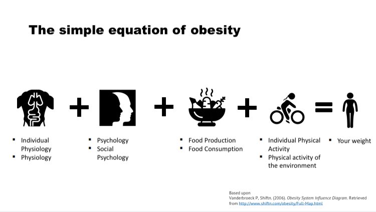 NeilFlochMD's tweet photo. #Obesity - a simplified equation to help explain a complex problem https://t.co/rdpo3Tteid