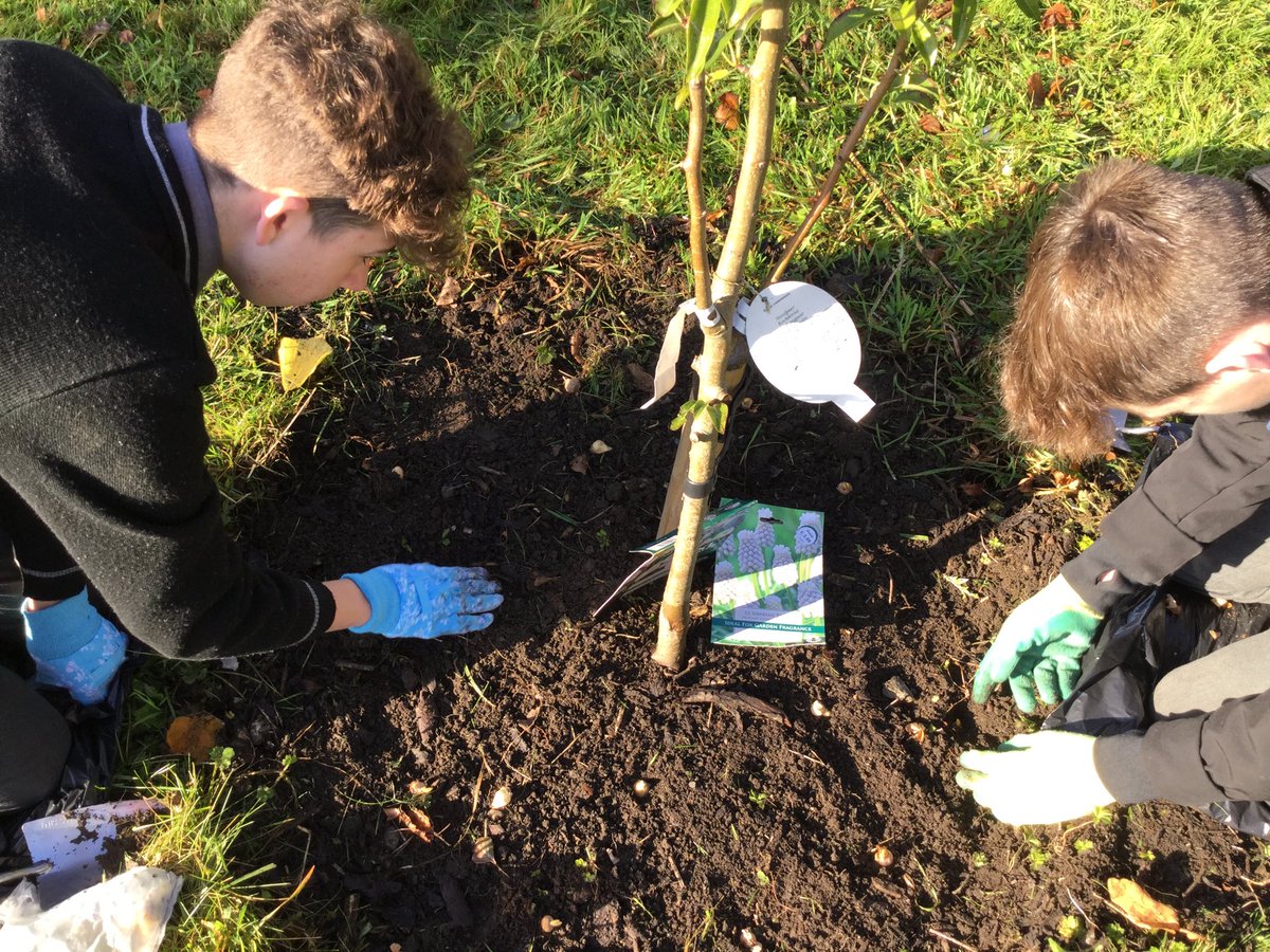 TippLib's tweet photo. Beautiful morning for planting pollinator friendly spring bulbs at Carrick on Suir Library with the boys from ⁦@TY_CBS⁩ facilitated by Dee Sewell from ⁦@Greensideupveg⁩ ⁦@CBS_Carrick⁩ ⁦@thesuir⁩ #pollinators ⁦@tippishealthy⁩ https://t.co/6XvYImF4sZ