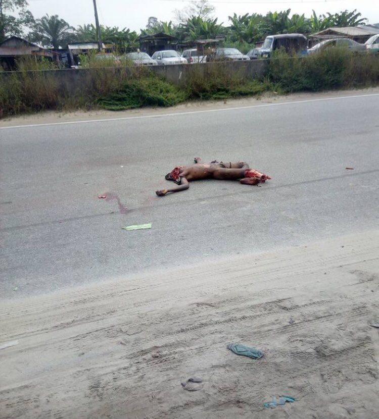 Joyce 🦋 tweet media