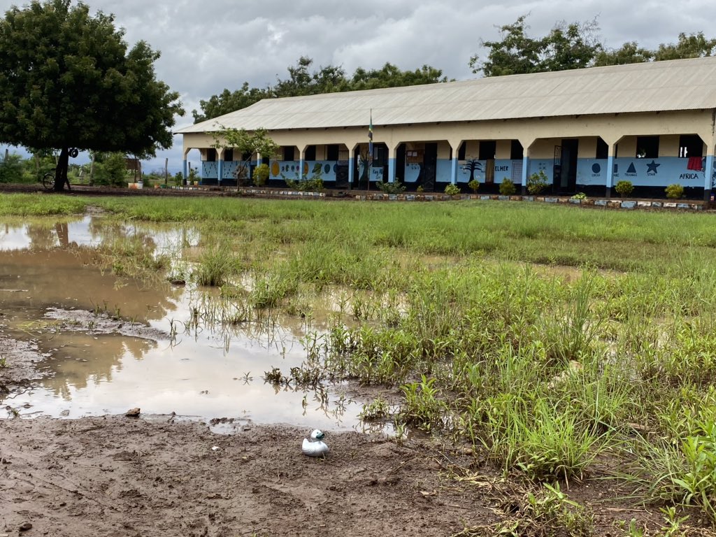 Nice weather for ducks at KYGN School in Tanzania <a href="/LibSHS/">SHS Library</a> <a href="/SHSGreenSilver/">SHS || Green & Silver Community</a> <a href="/SurbitonHigh/">Surbiton High School</a> <a href="/garypet11037034/">Gary Peters</a>