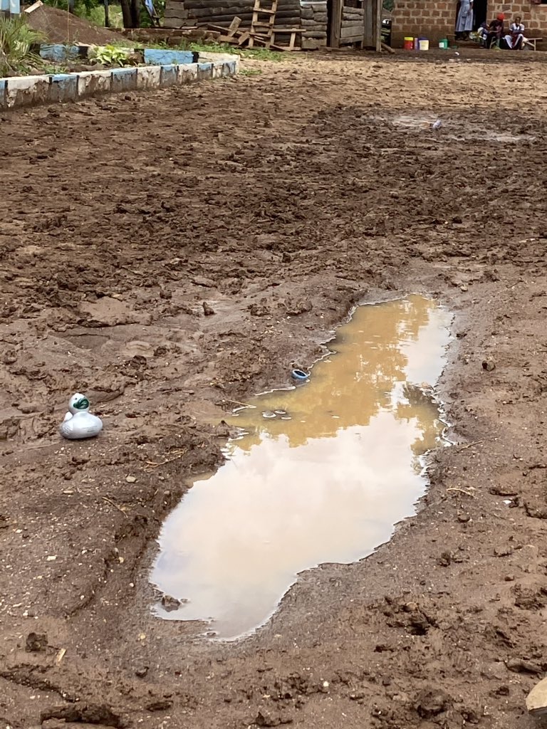 SHS || Maths tweet media