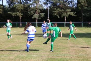 <a href="/HolmerGreenLFC/">Holmer Green Ladies FC</a> still looking for new recruits as they continue to build a squad supported by <a href="/cheshamutdlfc/">Chesham United FC Women</a>. Please contact us if you know anyone who might be interested in joining us?