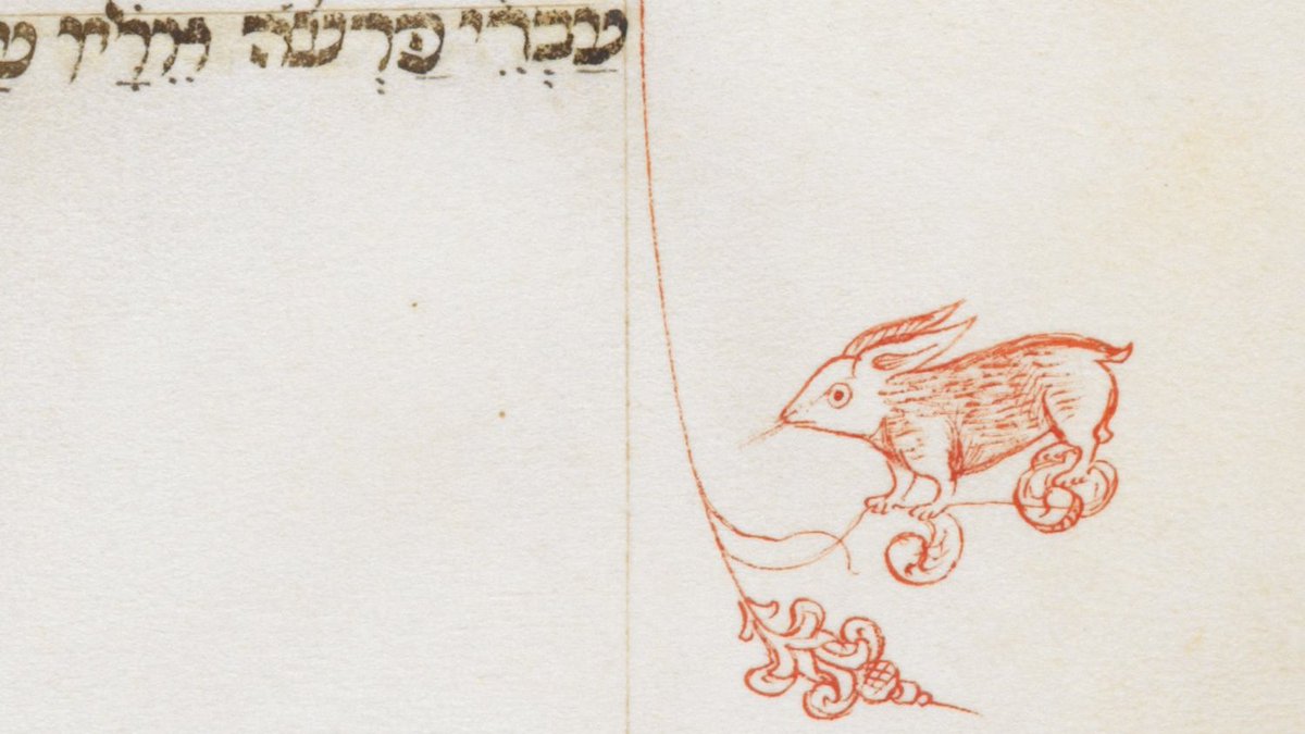 BUNNIES. A Thread.Just cute bunnies doing normal bunny things! Very normal!(BL, MS Additional 15423, f. 41v)  #MedievalTwitter