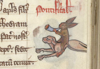 Hunter bunny!(BL, MS Royal 14 C I, f. 30)  #MedievalTwitter