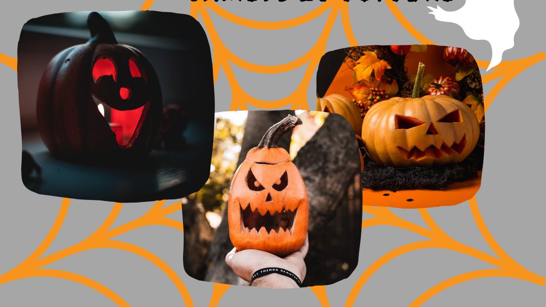ParcFloreval's tweet photo. Le samedi 26 OCTOBRE, FÊTEZ #HALLOWEEN au #parc #aventurefloreval de #bruyereslechatel…

Venez déguisé(es), et n’oubliez pas notre #atelier #citrouille de 16h30 à 17h30 afin d’éclairer votre maison le soir d’Halloween !

💥 Rendez-vous le samedi 26 OCTOBRE !!!! 💥 https://t.co/3ptdjq9xAd