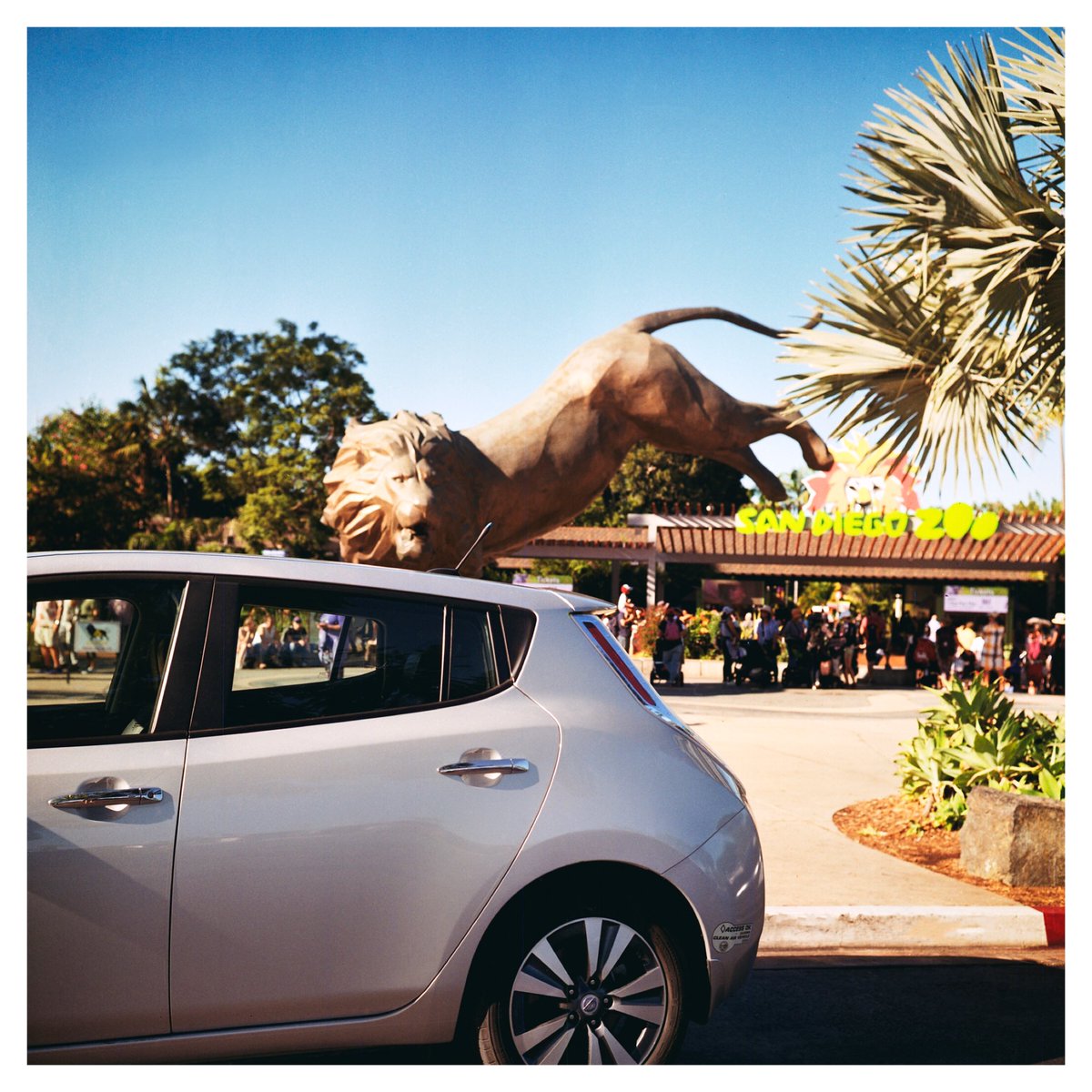 andymcroryphoto's tweet photo. Morning zoo is full of energy! You know what isn’t? My Nissan Leaf with a dying (<60%) battery. C’mon, Nissan - do the right thing & fix it! #nissanleaf #electriccars #nissanev #nissanusa #nissanbatteries #leafproblems #nissanproblems #electriccarproblems #evrange #evbatteries https://t.co/bOQ4X09oZG