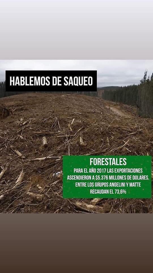 ☼☽ jo tweet media