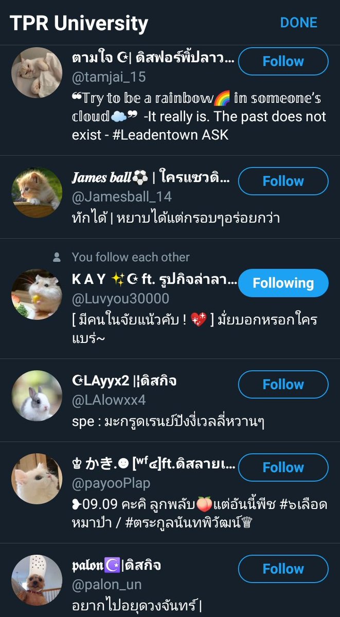 TPR University ☀☁🌙⭐ tweet media