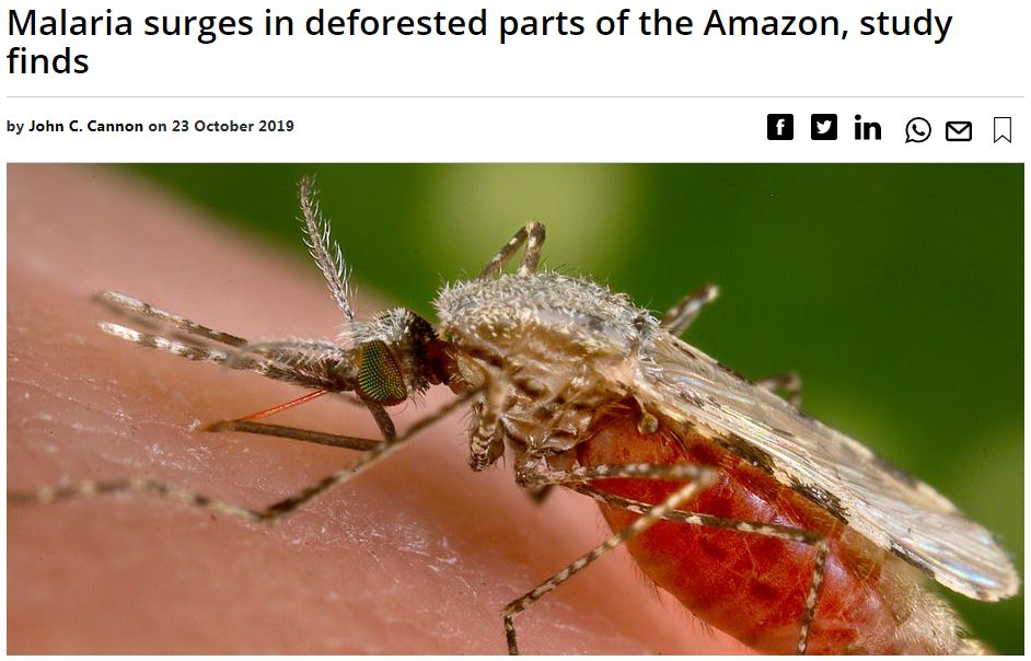 This is what the  #EcologicalCrisis looks like in  #SouthAmerica right now.23/Oct/2019:New in PNAS: "Tropical deforestation may spur the transmission of malaria at levels much higher than once thought" https://news.mongabay.com/2019/10/malaria-deforestation-amazon/
