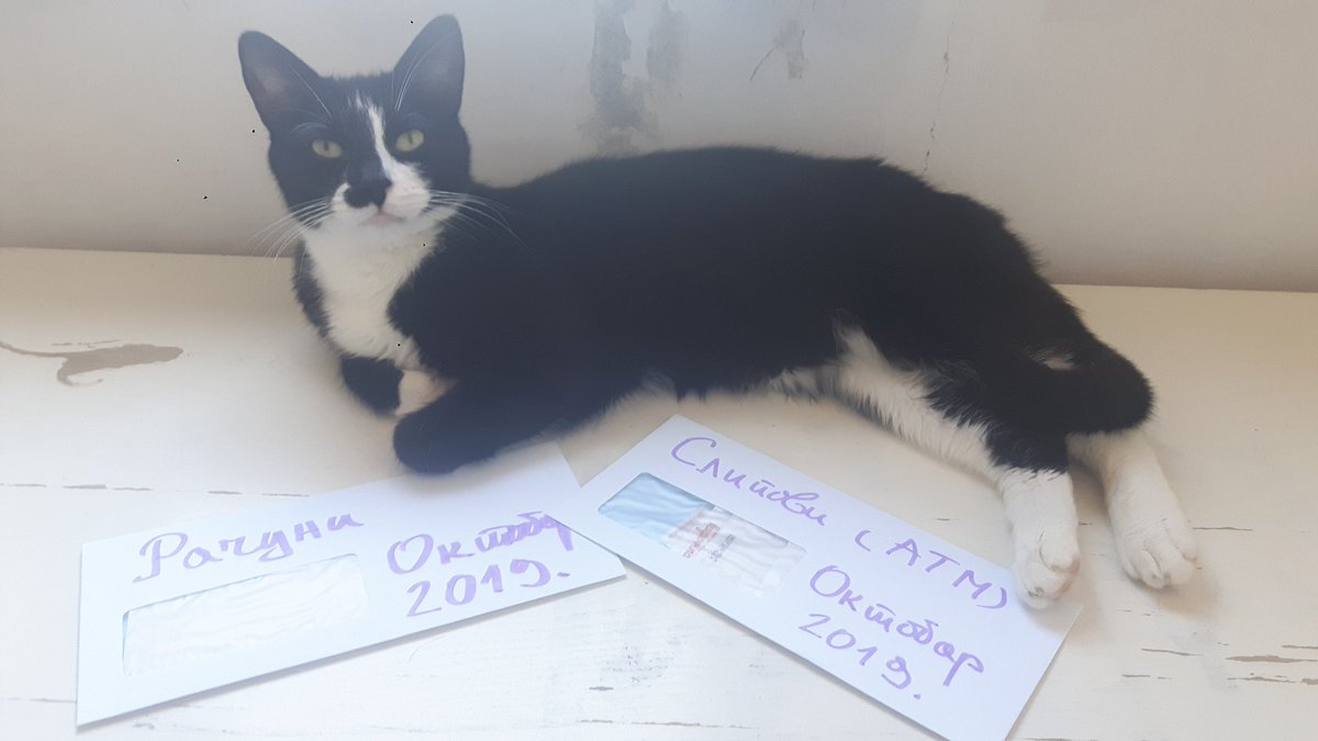 RoyalPetRescueS's tweet photo. Dear friends #CatsOfTwitter & #DogsOfTwitter,
#RCRS🔴🐾🔵🐾⚪ need help with #fundrsising & #donations.
#PetCentar reserved 15kg of #MediumAdult 3 weeks ago (7990RSD - 79$)↔needs to be picked up ASAP.
We also need 15kg of #FIT32↔price is 9895 RSD (99$).
TNX for sharing/RT. https://t.co/8lWYgoMLY6