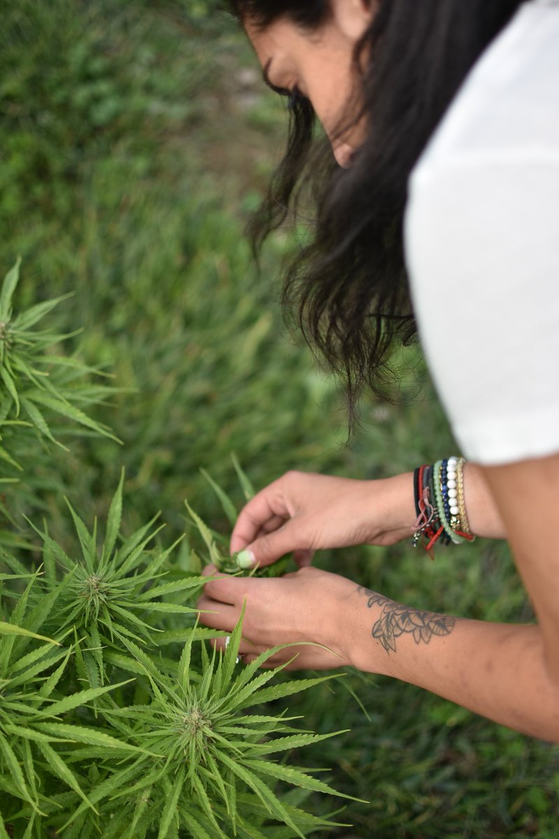 sourceress__'s tweet photo. Episode 10 : Hemp / CBD
Featured Guest : Brittany Carbone, CEO + Founder, Tonic CBD + Tricolla Farms

Sonic Sauce Playlist : Jive Jazz and Blues

Tune in : https://t.co/C8itZRENTn

#podcast #hemp #cbd #newyork #tonicvibes https://t.co/V0pmvEYxjw