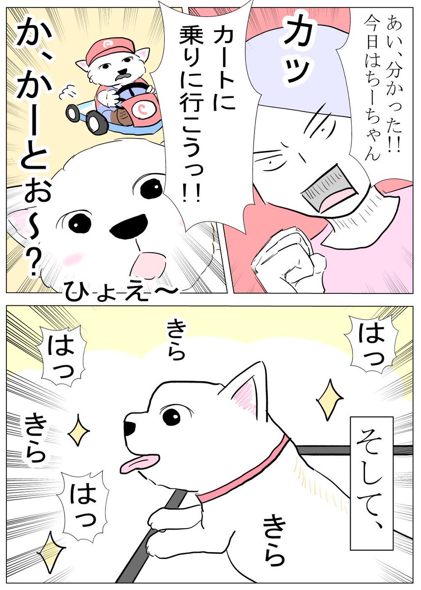 ウェスティのちーちゃん ちーちゃん264 お出かけ 小さい子供 ウエストハイランドホワイトテリア ウエスティ 犬好き いぬ もくもくもくようび 木曜日 ウエスティ 犬好きさんと繋がりたい Westie Westie Dogs Dogs Dogsoftwitter 絵日記 ウェスティのちーちゃん ちーちゃん264 お出かけ 小さい子供 ウエストハイランドホワイトテリア ウエスティ 犬好き いぬ もくもくもくようび 木曜日 ウエスティ 犬好きさんと繋がりたい Westie Westie Dogs Dogs Dogsoftwitter 絵日記